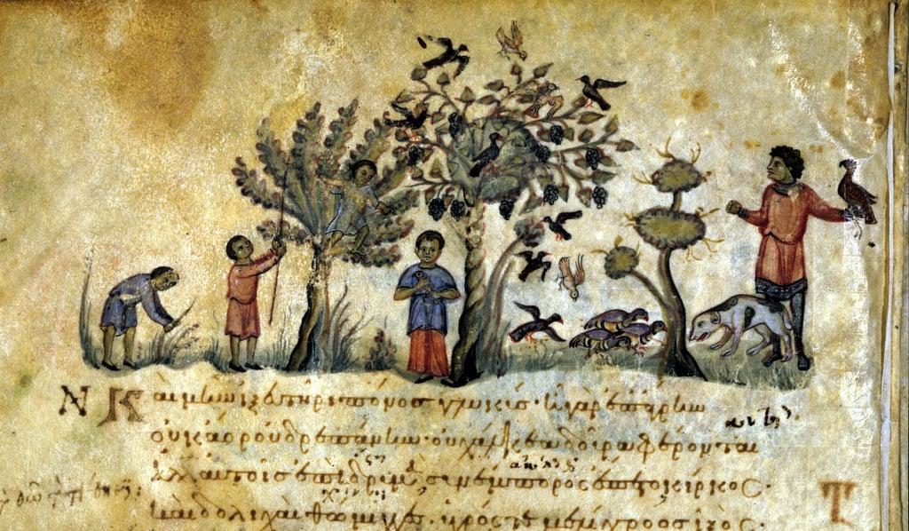 Hunting with the falcon and capturing bird nests. Greek manuscript of Oppianus De Venatione 13th cen
